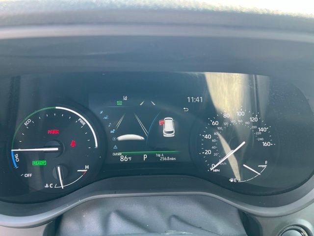 2025 Toyota Sienna XLE 8 Passenger