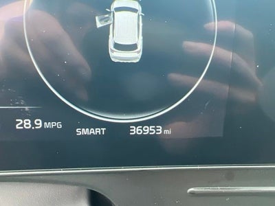 2024 Kia Sportage X-Pro