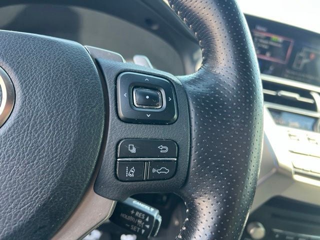 2020 Lexus NX 300 F Sport