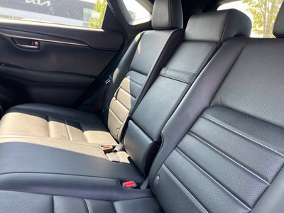 2020 Lexus NX 300 F Sport