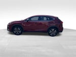 2020 Lexus NX 300 F Sport