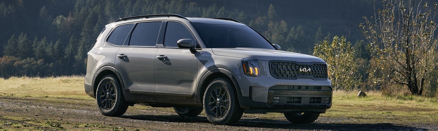 Kia Telluride for Sale Plainfield IN 