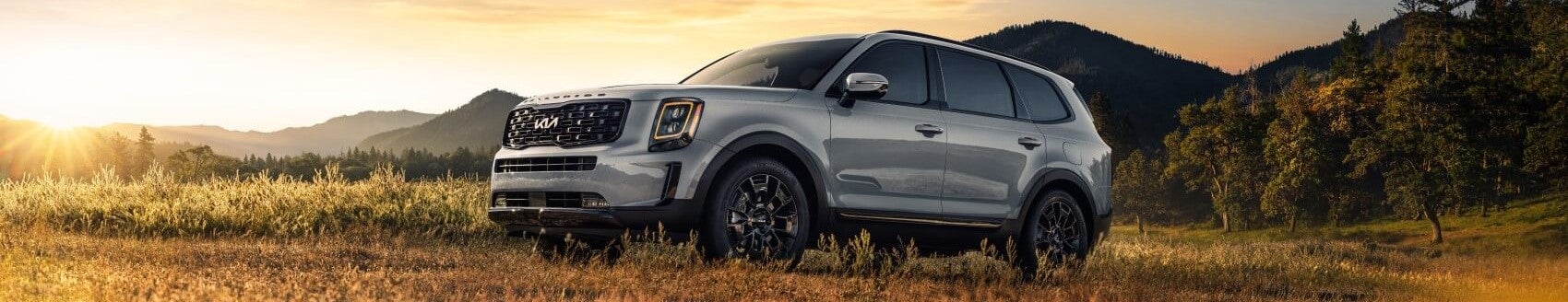 2022 Kia Telluride Avon IN