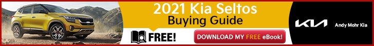 2021 Kia Seltos Buying Guide